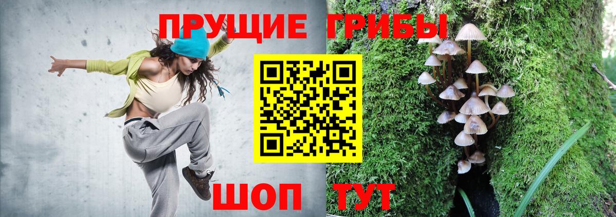 Галлюциногенные грибы прущие грибы  Псилоцибиновые грибы мицелий  Кумертау  Вход с VPN 