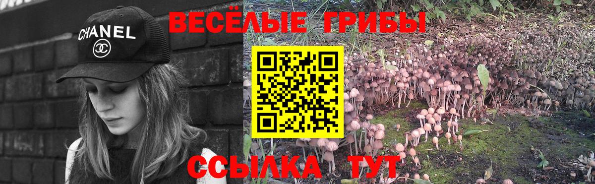 Псилоцибиновые грибы прущие грибы Кумертау